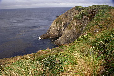 Cape Horn Nature Reserve, Cape Horn Island, Chile, South America