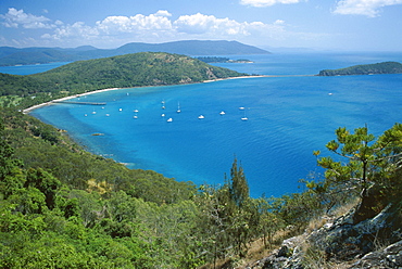 View over Bauer Bay, South Molle Island, Whitsundays, Queensland, Australia, Pacific