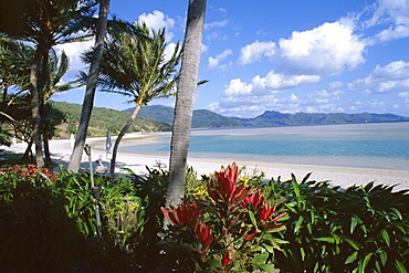 Resort beach, Hayman Island, Whitsundays, Queensland, Australia, Pacific