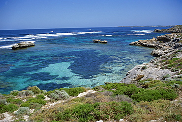 Rottnest Island, Perth, Western Australia, Australia, Pacific