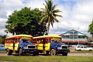 Local buses on a street in Apia, Upolu Island, Western Samoa, Pacific