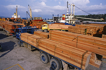 Loading timber for export, Kota Kinabalu, Sabah, island of Borneo, Malaysia, Southeast Asia, Asia