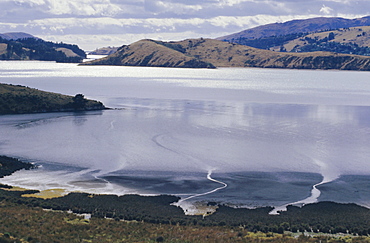 Charteris Bay, Lyttleton Harbour, Banks Peninsula, Canterbury, South Island, New Zealand, Pacific