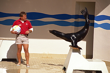 Performing seal with trainer, Ocean World, Fort Lauderdale, Florida, United States of America, North America