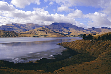 Head of the Bay, Lyttelton Harbour, Banks Peninsula, Canterbury, South Island, New Zealand, Pacific