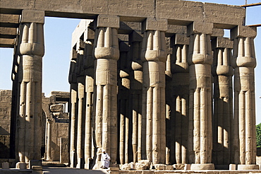 Hypostyle hall of Amenophis III, 32 papyriform columns, Luxor Temple, Luxor, UNESCO World Heritage Site, Thebes, Egypt, North Africa, Africa