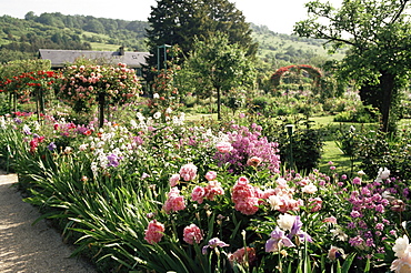 Garden, Monet's house, Giverny, Haute Normandie (Normandy), France, Europe