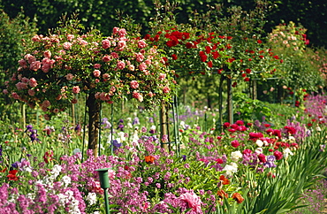 Monet's garden, Giverny, Haute Normandie, France, Europe