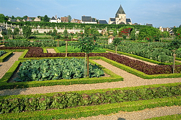 Herb and kitchen gardens, Chateau Villandry, Centre, France, Europe