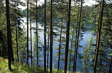 Pine and birch forests rise above calm lakes, National Park, Punkaharju, Finland, Scandinavia, Europe