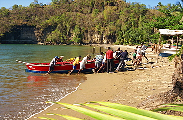 Hauling fishing boat ashore, Anse La Raye, St. Lucia, Windward Islands, West Indies, Central America