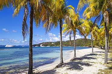 Brittania Bay beach, Mustique, The Grenadines, St. Vincent and The Grenadines, West Indies, Caribbean, Central America