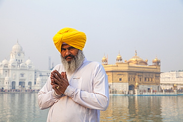 Sikh man in front of The Harmandir Sahib (The Golden Temple), Amritsar, Punjab, India, Asia