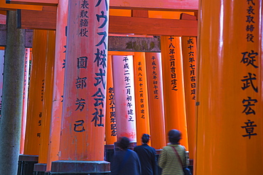 Vermilion torii gates, donated and inscribed by businesses and individuals, Fushimi Inari Shrine, Kyoto, Japan, Asia