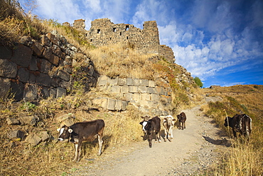 Amberd fortress located on the slopes of Mount Aragats, Yerevan, Aragatsotn, Armenia, Central Asia, Asia 