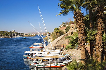 Gardens of Sofitel Legend Old Cataract hotel situated on the banks of the River Nile, Aswan, Upper Egypt, Egypt, North Africa, Africa