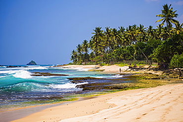 Midigama Beach, a tropical, palm tree lined beach near Weligama on the South Coast of Sri Lanka, Indian Ocean, Asia