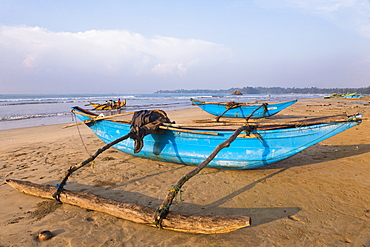 Traditional outrigger fishing boats on Weligama Beach, South Coast of Sri Lanka, Indian Ocean, Asia