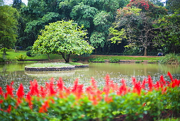 Kandy Royal Botanical Gardens at Peradeniya, Kandy, Sri Lanka, Asia 