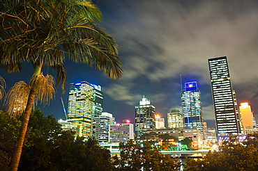 Palm tree and Brisbane skyline at night, Brisbane, Queensland, Australia, Pacific