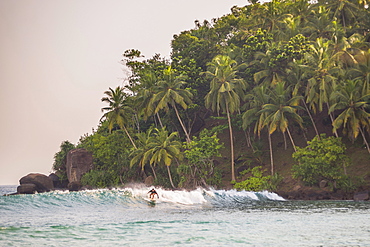 Surfer surfing at sunset at Mirissa Beach, South Coast, Sri Lanka, Southern Province, Asia 