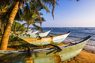 Traditional Sri Lanka fishing boats on Mirissa Beach, South Coast, Sri Lanka, Asia 