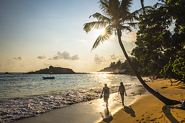 Mirissa Beach, couple taking a romantic walk under a palm tree at sunset, South Coast, Sri Lanka, Asia 