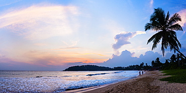 Mirissa Beach, palm tree at sunset on the Indian Ocean, South Coast, Southern Province, Sri Lanka, Asia 