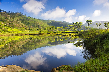 Lake at Haputale, Nuwara Eliya District, Sri Lanka Hill Country, Sri Lanka, Asia 