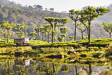 Haputale, reflections of a public bus in a lake in the Nuwara Eliya District, Sri Lanka Hill Country, Sri Lanka, Asia 