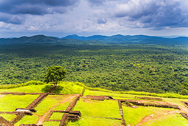 Ruins of King Kassapa's Palace at the top of Sigiriya Rock Fortress (Lion Rock), UNESCO World Heritage Site, Sigiriya, Sri Lanka, Asia 