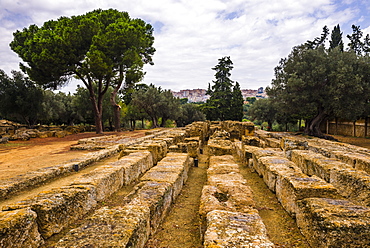 Temple of Dioscuri, Valley of the Temples (Valle dei Templi), Agrigento, UNESCO World Heritage Site, Sicily, Italy, Europe 