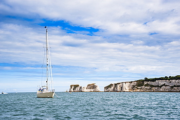 Sailing boat at Old Harry Rocks, between Swanage and Purbeck, Dorset, Jurassic Coast, UNESCO World Heritage Site, England, United Kingdom, Europe 