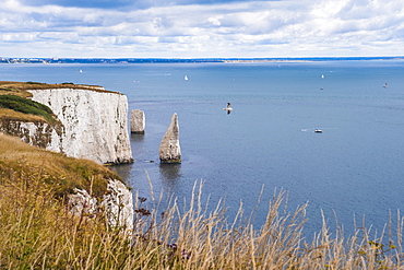 Chalk stacks and cliffs at Old Harry Rocks, between Swanage and Purbeck, Dorset, Jurassic Coast, UNESCO World Heritage Site, England, United Kingdom, Europe 