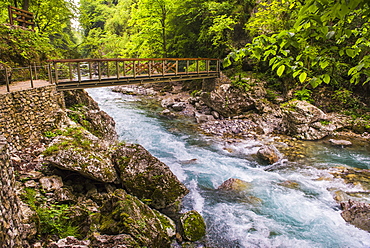 Bridge across the Zadlascica River Canyon, Tolman Gorges, Triglav National Park, Slovenia, Europe