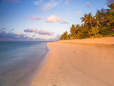 Tropical beach with palm trees at sunrise, Rarotonga, Cook Islands, South Pacific, Pacific