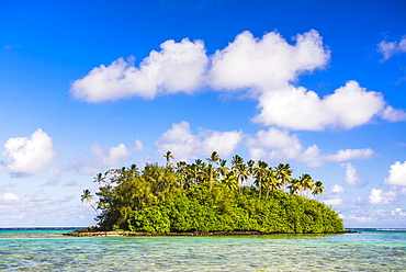 Tropical island of Motu Taakoka covered in palm trees in Muri Lagoon, Rarotonga, Cook Islands, South Pacific, Pacific