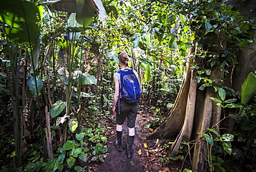 Amazon Jungle trek on Monkey Island (Isla de los Monos), Tambopata National Reserve, Peru, South America