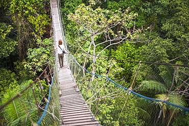 Amazon Jungle swinging rope bridge in Puerto Maldonado area, Peru, South America