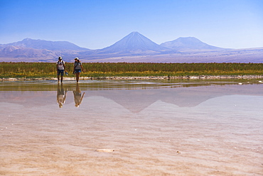 Laguna Cejar (floating salt lake lagoon), with Licancabur Volcano and Juriques Volcano behind, Atacama Desert, North Chile, Chile, South America