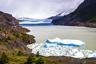 Icebergs in Grey Lake (Lago Grey) with Grey Glacier (Glaciar Grey) behind, Torres del Paine National Park, Patagonia, Chile, South America