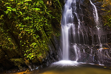 Cucharillos Waterfall in the Mashpi Cloud Forest area of the Choco Rainforest, Ecuador, South America