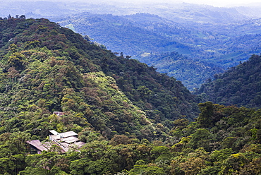 Mashpi Lodge, Choco Cloud Forest, a rainforest in the Pichincha Province of Ecuador, South America