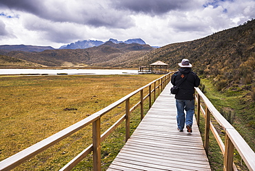 Person hiking at Lake Limpiopungo (Lago Limpiopungo) in the shadow of Ruminahui Volcano, Cotopaxi National Park, Cotopaxi Province, Ecuador, South America