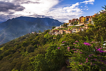 Coroico, La Paz Department, Bolivia, South America