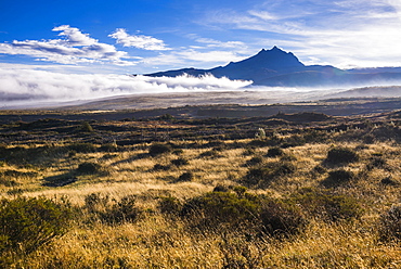 Sincholagua Volcano at sunrise, Cotopaxi Province, Ecuador, South America