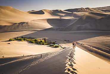 Tourists climbing sand dunes at sunset at Huacachina, a village in the desert, Ica Region, Peru, South America