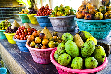 Exotic fruits at a tropical fruit farm, Bali, Indonesia, Southeast Asia, Asia