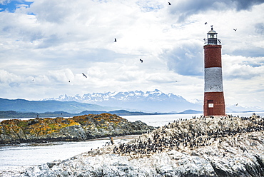 Les Eclaireurs Lighthouse and cormorant colony on an island in the Beagle Channel, Ushuaia, Tierra Del Fuego, Argentina, South America