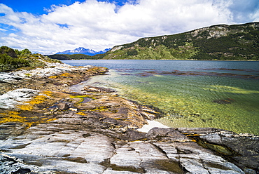 Tierra Del Fuego National Park, Ushuaia, Patagonia, Argentina, South America